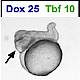 Fig.4 taken from Knopf et al, 2010.