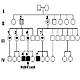 Fig.1 taken from Ranchin et al, 2010.