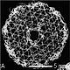 Fig. 1 taken from Rentsch et al, 2010.