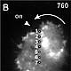 Fig.8 taken from Schroth-Diez et al, 2009.